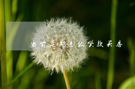 当前逾期怎么贷款买房 当前逾期怎么贷款买房