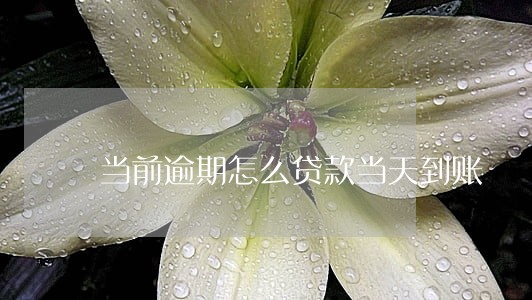 当前逾期怎么贷款当天到账 当前逾期怎么贷款当天到账