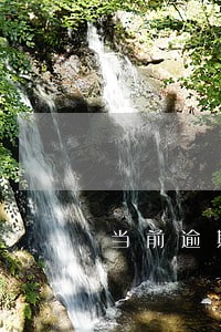 当前逾期有1能下款的 当前逾期有1能下款的