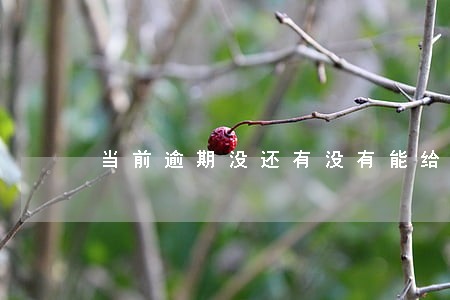 当前逾期没还有没有能给贷款的 当前逾期没还有没有能给贷款的