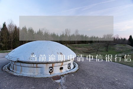 当前逾期申请中信银行信秒贷 当前逾期申请中信银行信秒贷