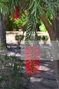 当前逾期结清可以做农户贷款吗 当前逾期结清可以做农户贷款吗