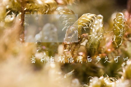当前逾期结清后多久可以贷款 当前逾期结清后多久可以贷款