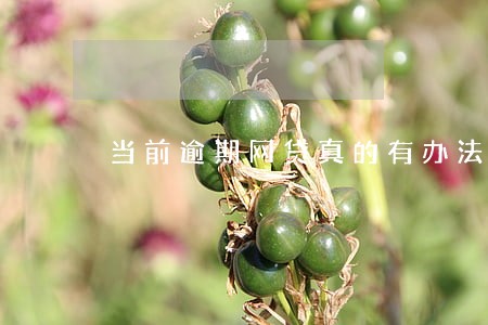 当前逾期网贷真的有办法么 当前逾期网贷真的有办法么