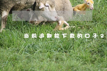 当前逾期能下款的口子2021