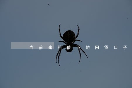 当前逾期能下的网贷口子 当前逾期能下的网贷口子