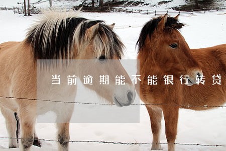 当前逾期能不能银行转贷