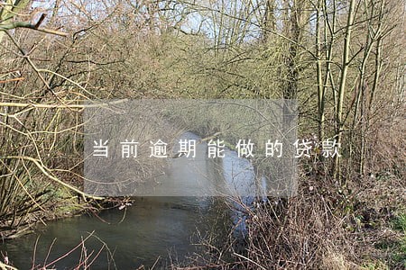 当前逾期能做的贷款 当前逾期能做的贷款