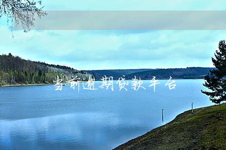 当前逾期贷款平台 当前逾期贷款平台