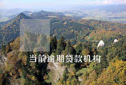 当前逾期贷款机构 当前逾期贷款机构
