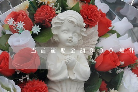 当前逾期金额000是什么意思 当前逾期金额000是什么意思