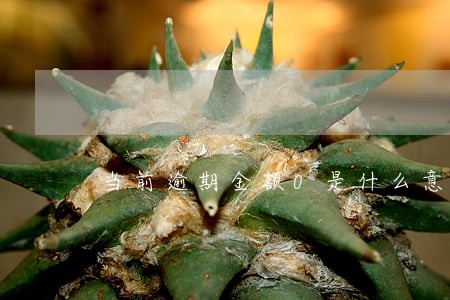 当前逾期金额0是什么意思 当前逾期金额0是什么意思