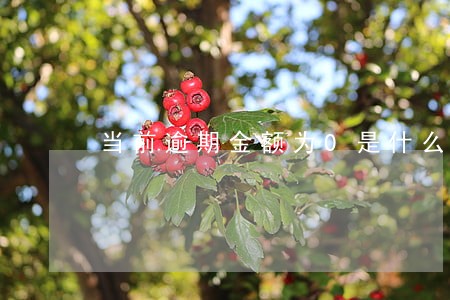 当前逾期金额为0是什么原因 当前逾期金额为0是什么原因