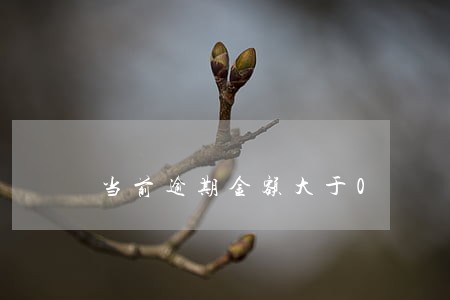 当前逾期金额大于0 当前逾期金额大于0