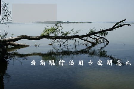 当前银行信用卡逾期怎么办
