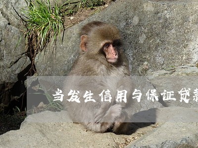 当发生信用与保证贷款逾期时 当发生信用与保证贷款逾期时