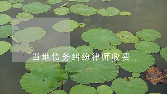 当地债务纠纷律师收费 当地债务纠纷律师收费