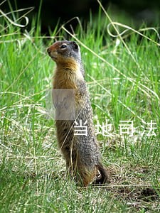 当地司法所有法律援助吗 当地司法所有法律援助吗