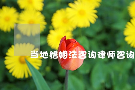 当地婚姻法咨询律师咨询 当地婚姻法咨询律师咨询