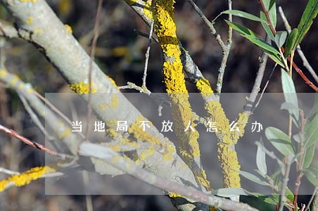 当地局不放人怎么办