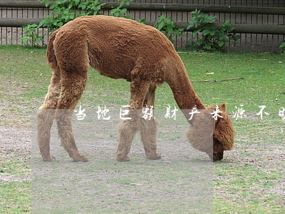 当地巨额财产来源不明罪律师在线 当地巨额财产来源不明罪律师在线