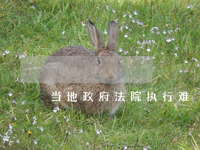 当地政府法院执行难 当地政府法院执行难