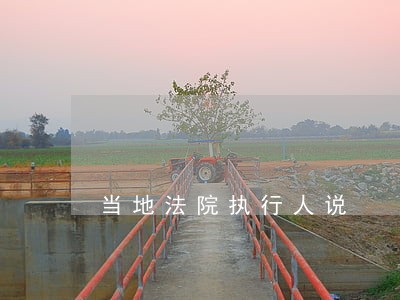 当地法院执行人说