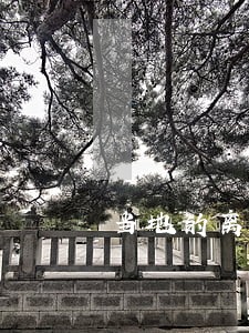当地的离婚律师团队 当地的离婚律师团队