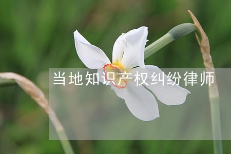 当地知识产权纠纷律师 当地知识产权纠纷律师