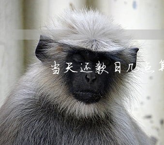 当天还款日几点算逾期 当天还款日几点算逾期