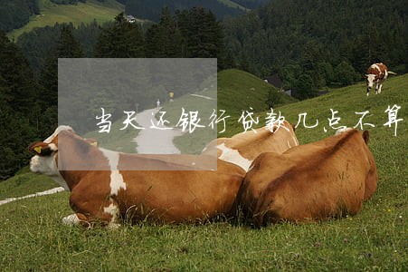 当天还银行贷款几点不算逾期 当天还银行贷款几点不算逾期