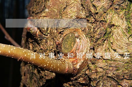 当对事业和婚姻家庭失去信心 当对事业和婚姻家庭失去信心