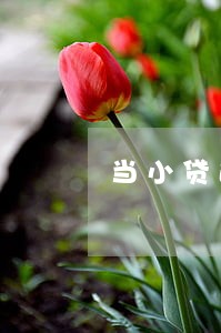 当小贷逾期后信用卡还能用吗
