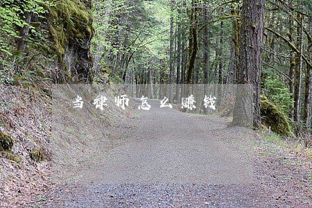 当律师怎么赚钱 当律师怎么赚钱