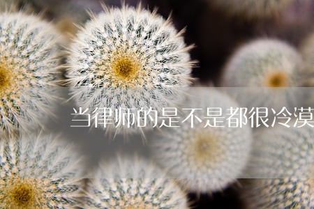 当律师的是不是都很冷漠 当律师的是不是都很冷漠