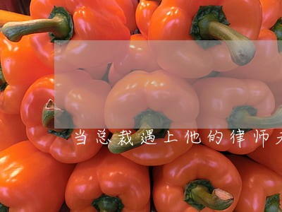 当总裁遇上他的律师夫人 当总裁遇上他的律师夫人