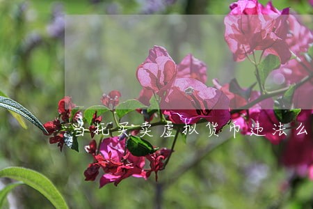 当托买卖虚拟货币违法么 当托买卖虚拟货币违法么