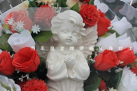 当无良金牌律师化身哈士奇 当无良金牌律师化身哈士奇
