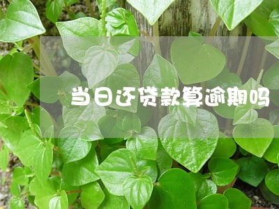 当日还贷款算逾期吗 当日还贷款算逾期吗
