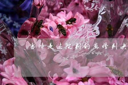 当时是法院判的离婚判决 当时是法院判的离婚判决