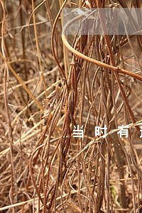 当时有逾期办理什么信用卡比较好 当时有逾期办理什么信用卡比较好