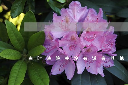 当时法院并没有说有其他人保全 当时法院并没有说有其他人保全