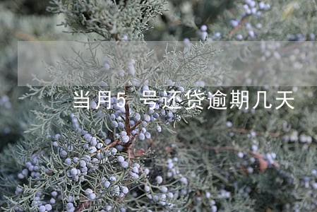 当月5号还贷逾期几天 当月5号还贷逾期几天