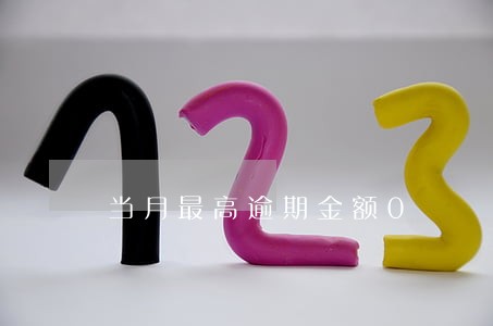 当月最高逾期金额0 当月最高逾期金额0