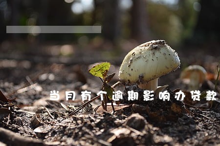 当月有个逾期影响办贷款吗 当月有个逾期影响办贷款吗