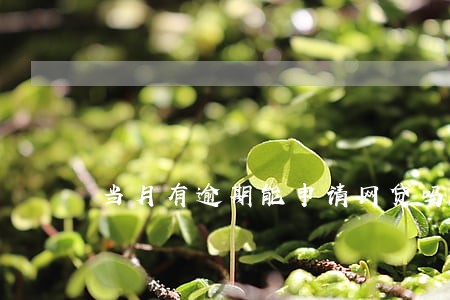 当月有逾期能申请网贷吗 当月有逾期能申请网贷吗