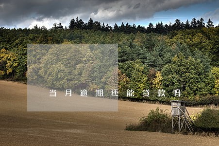当月逾期还能贷款吗 当月逾期还能贷款吗