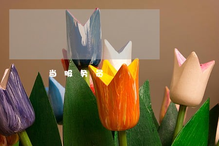 当服务员 当服务员