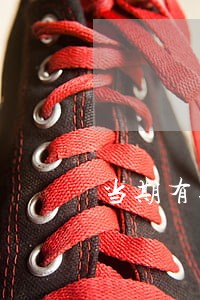 当期有逾期且还清贷款 当期有逾期且还清贷款