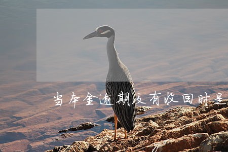 当本金逾期没有收回时是什么贷款 当本金逾期没有收回时是什么贷款